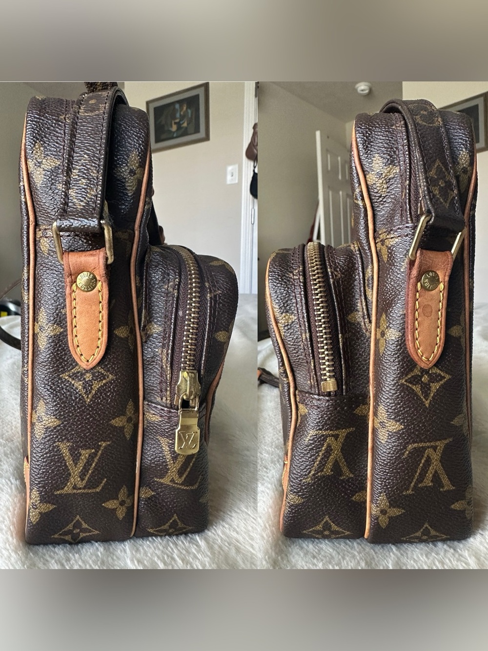 Louis Vuitton Amazone Crossbody Bag - Picture 3 of 16